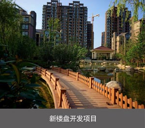 双层简易升降机械午夜美女福利设备新楼盘开发项目